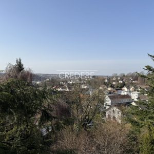 Ausblick