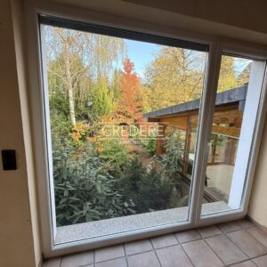 Blick in den Garten